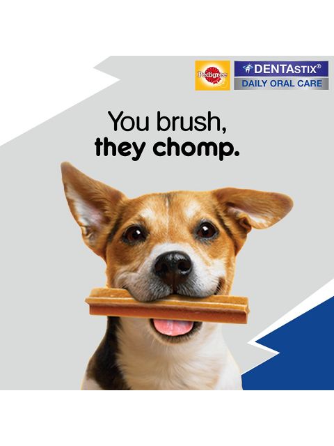 Dental Care Dog Treat for Adult Medium Breed(10-25kg) Dogs, 720 g Monthly Pack (28 Sticks)