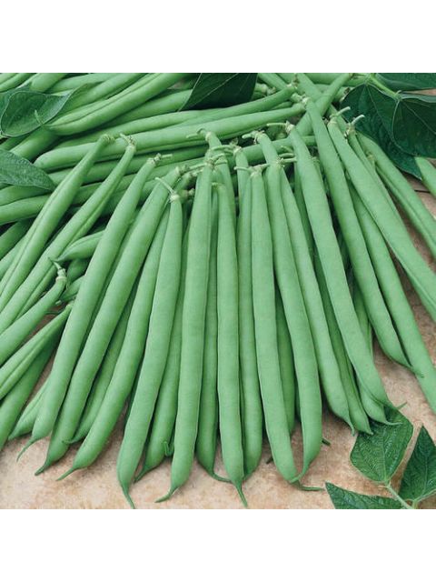 French Beans 1kg