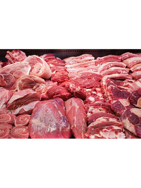 Fresh Fish Medium 1kg