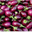 BRINJAL / BEGAN 1KG
