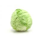 CABBAGE / BAND GOBI 1 KG