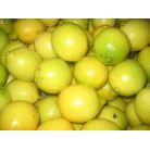 Lemon / Neebu 250 gram