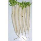 reddish / mooli 1 kG