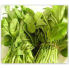 SPINACH / PALAK 1 GADDI