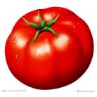 Tomato / Tamatar 250 gram