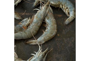 Prawns (Small, 500gm, 70-90 pieces)