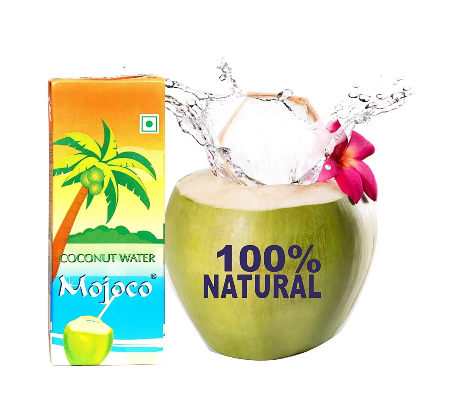 MOJOCO Delicious Natural Tender Coconut Water Energy Drink (Pack
