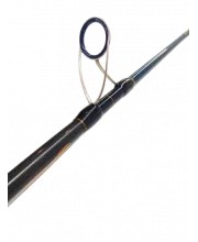 CLORIS Fishing Rod and Reel Combo Saltwater India